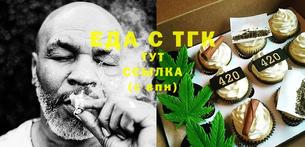 индика Елабуга