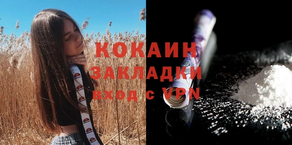 бошки Болохово