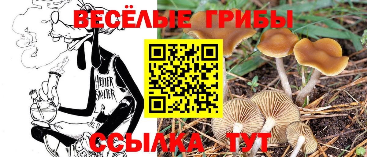 Киреевск  Псилоцибиновые грибы ЛСД  Вход с VPN 