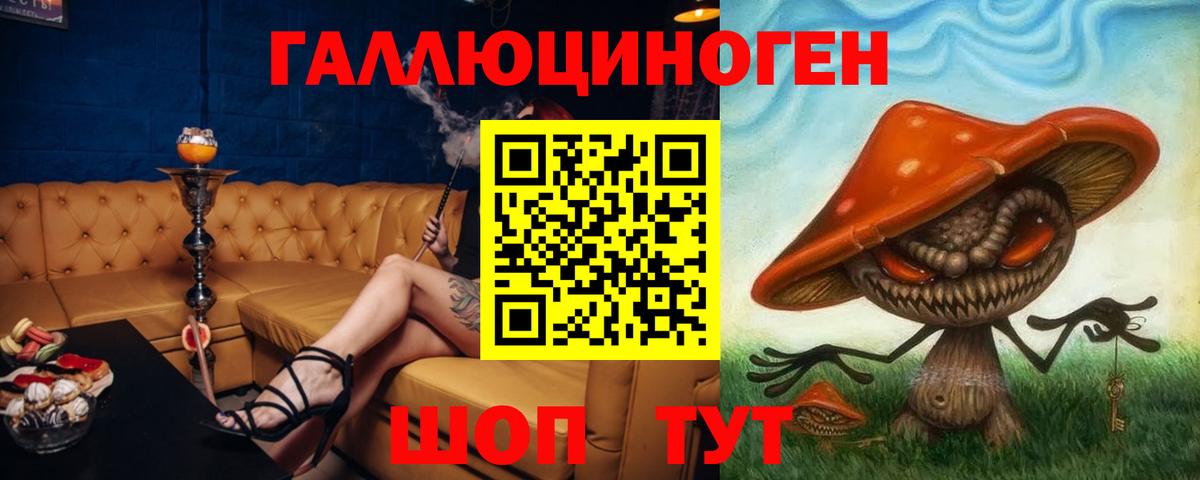Псилоцибиновые грибы Psilocybe Киреевск