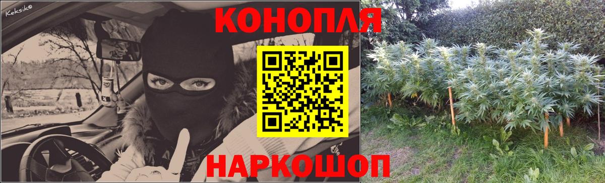 Шишки марихуана ГИДРОПОН Киреевск